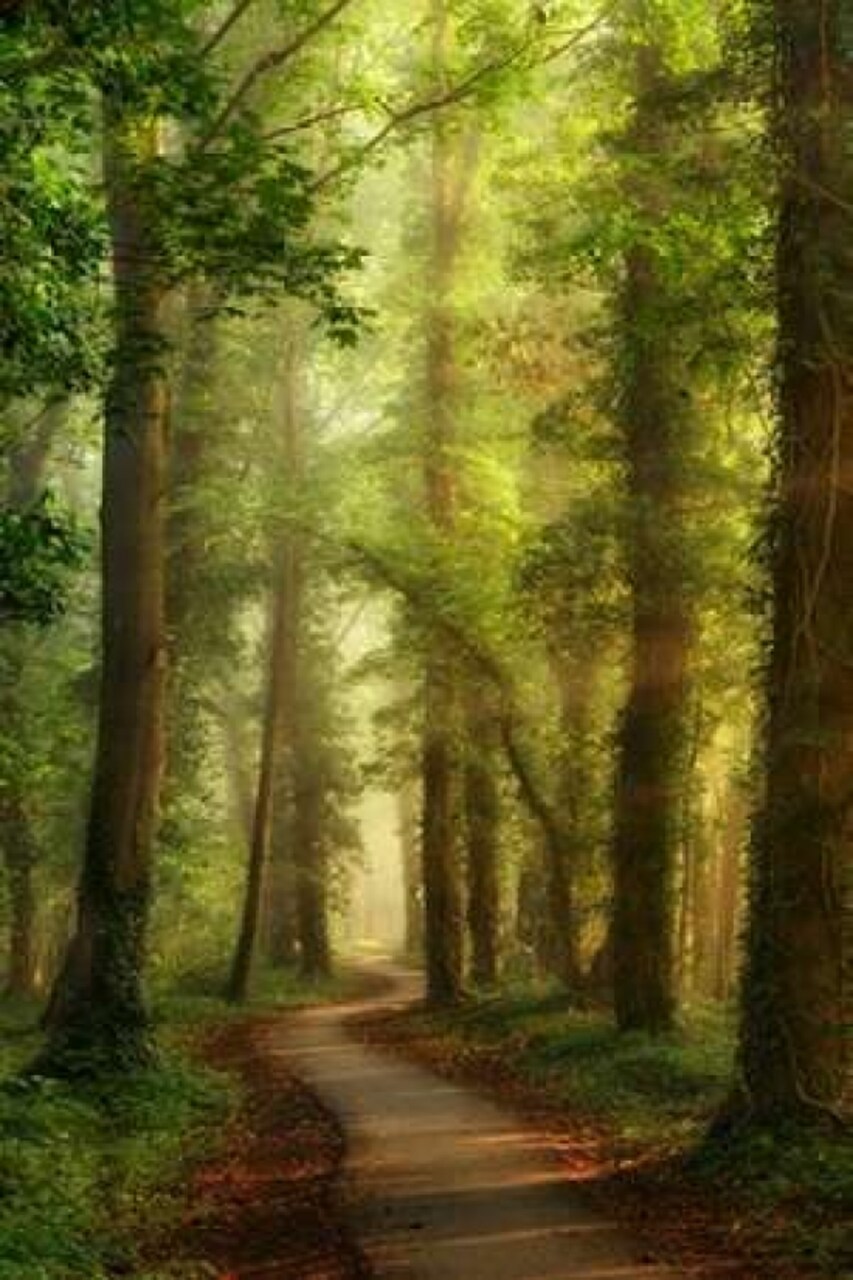 Snake Path Poster Print by Lars Van de Goor - Item # VARPDXV612D